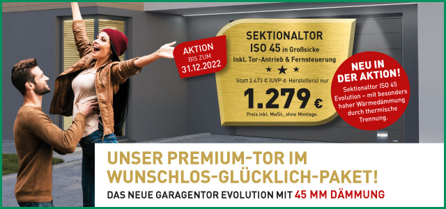 Sektionaltor ISO 45 1.279 Euro